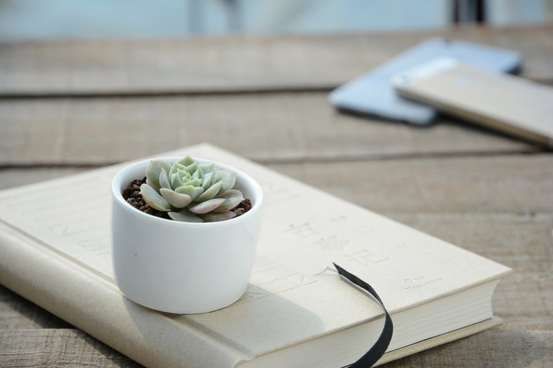 Self-Watering Planters